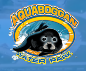 Aquaboggan