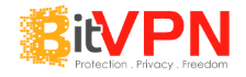 Bitvpn